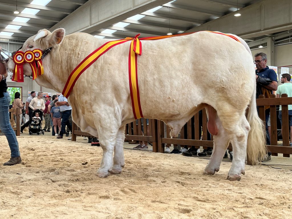 Ganado de Madrid