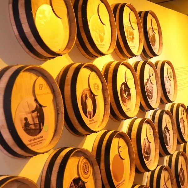 Exposición sobre los vinos de Madrid