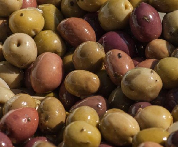 Recolección de la aceituna en Madrid