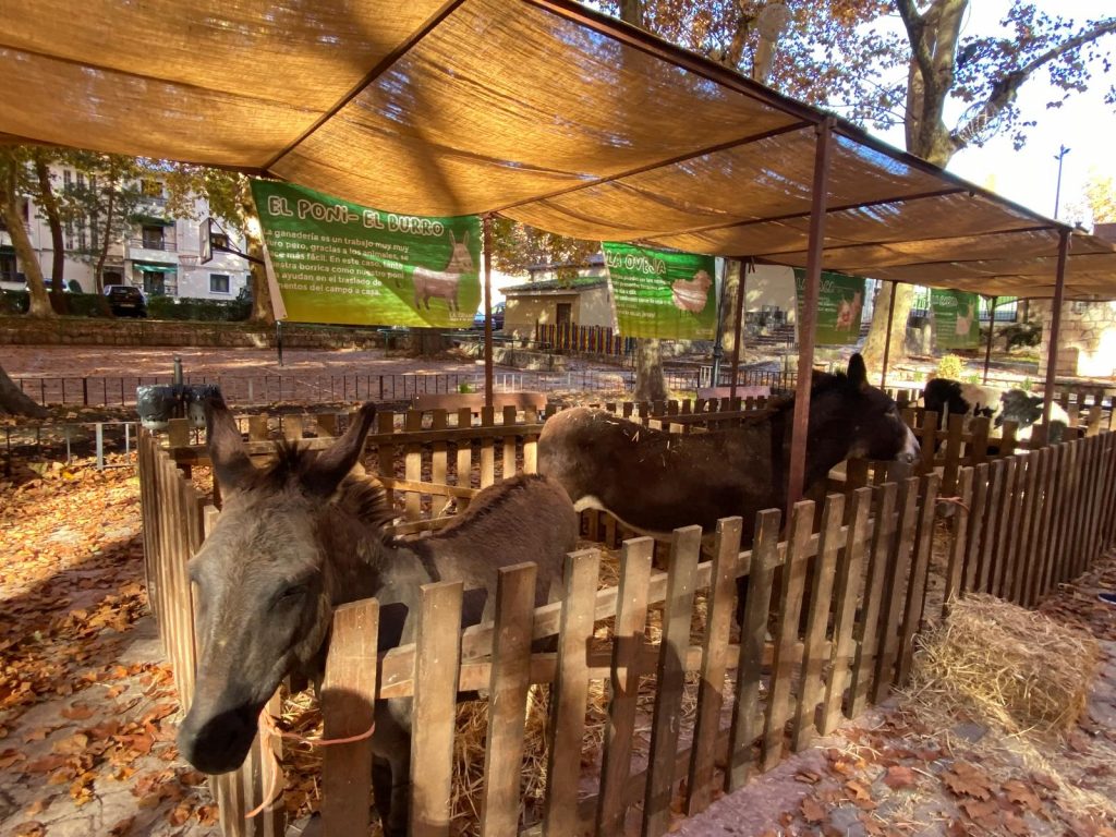 Plan para niños en Navidad en Madrid