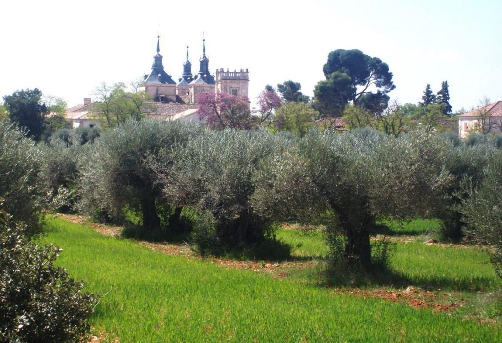 Camino Juan de Goyeneche