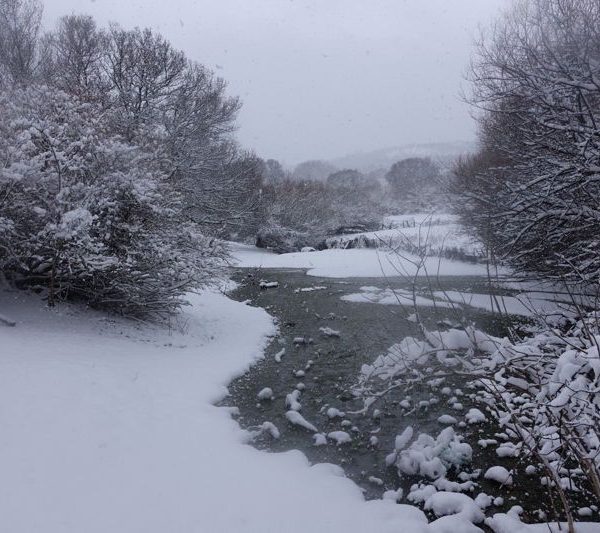 Destinos para disfrutar con niños en la nieve de Madrid
