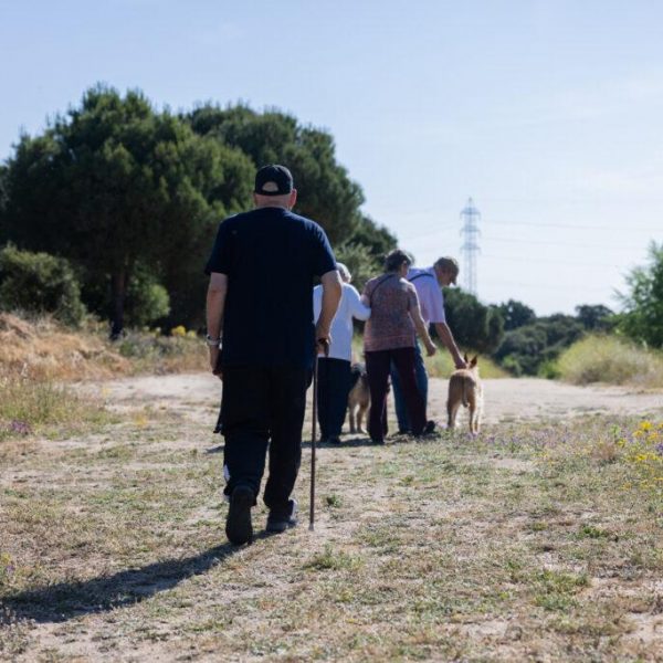 rutas medioambientales que puedes hacer en Tres Cantos