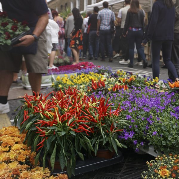 Nueva feria de flores en Madrid