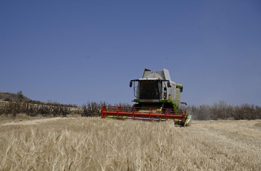 Cosecha de cereales en Madrid