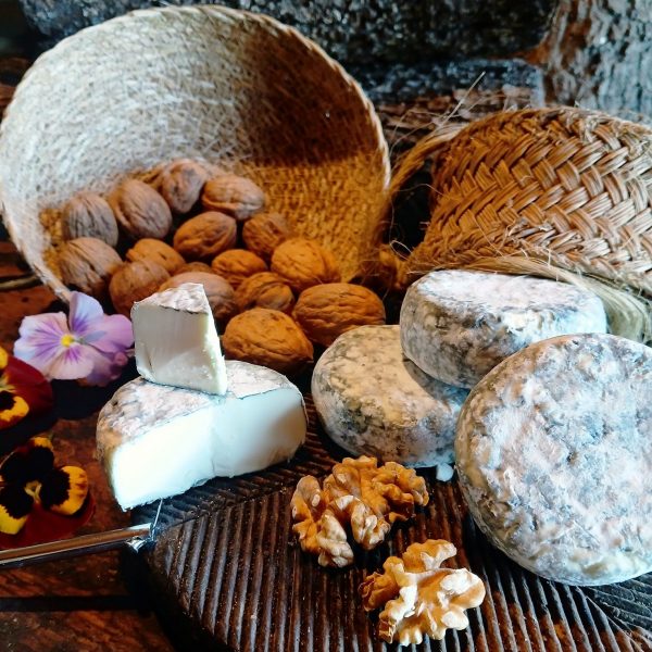 Mejor queso de Madrid 2025