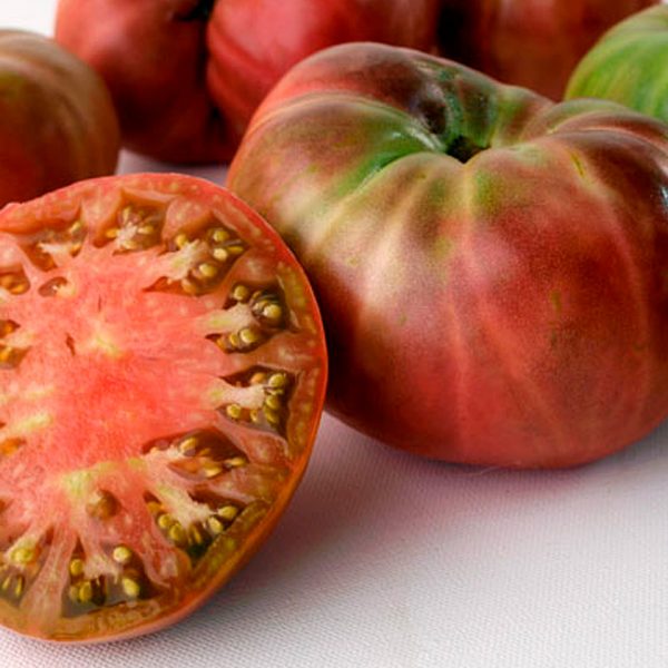 talleres sobre agricultura para niños