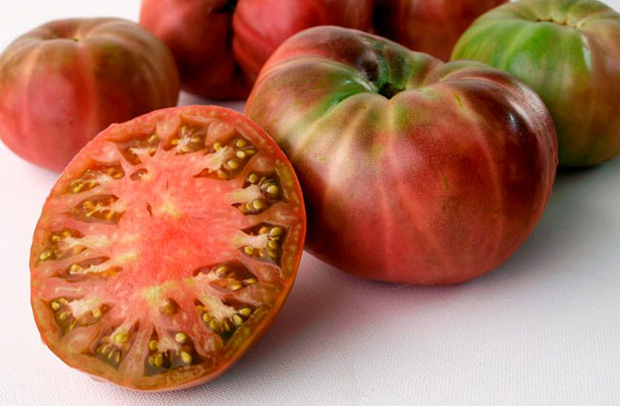 talleres sobre agricultura para niños