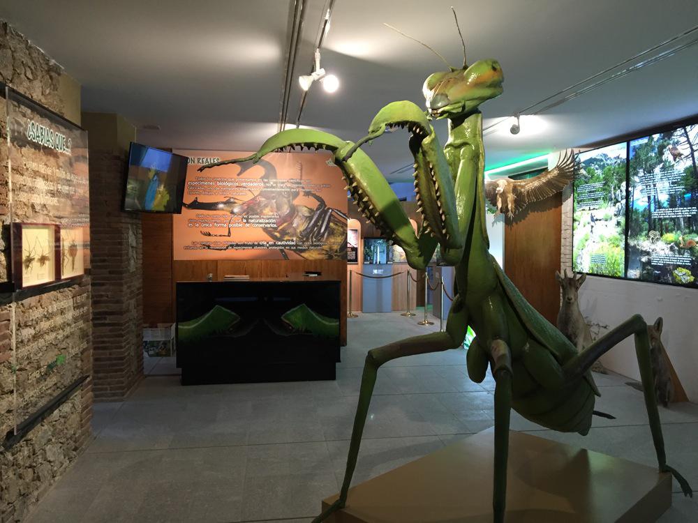InsectPark