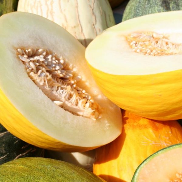 aliado perfecto para refrescar tu dieta en verano