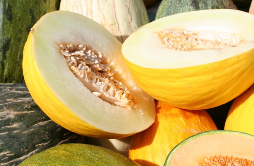 aliado perfecto para refrescar tu dieta en verano