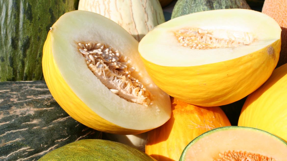 aliado perfecto para refrescar tu dieta en verano