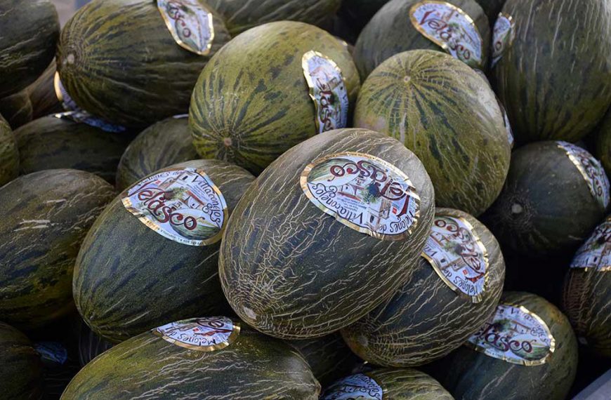 Melón de Villaconejos