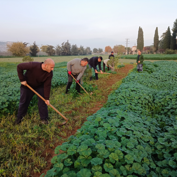 cursos gratuitos sobre el sector agrario