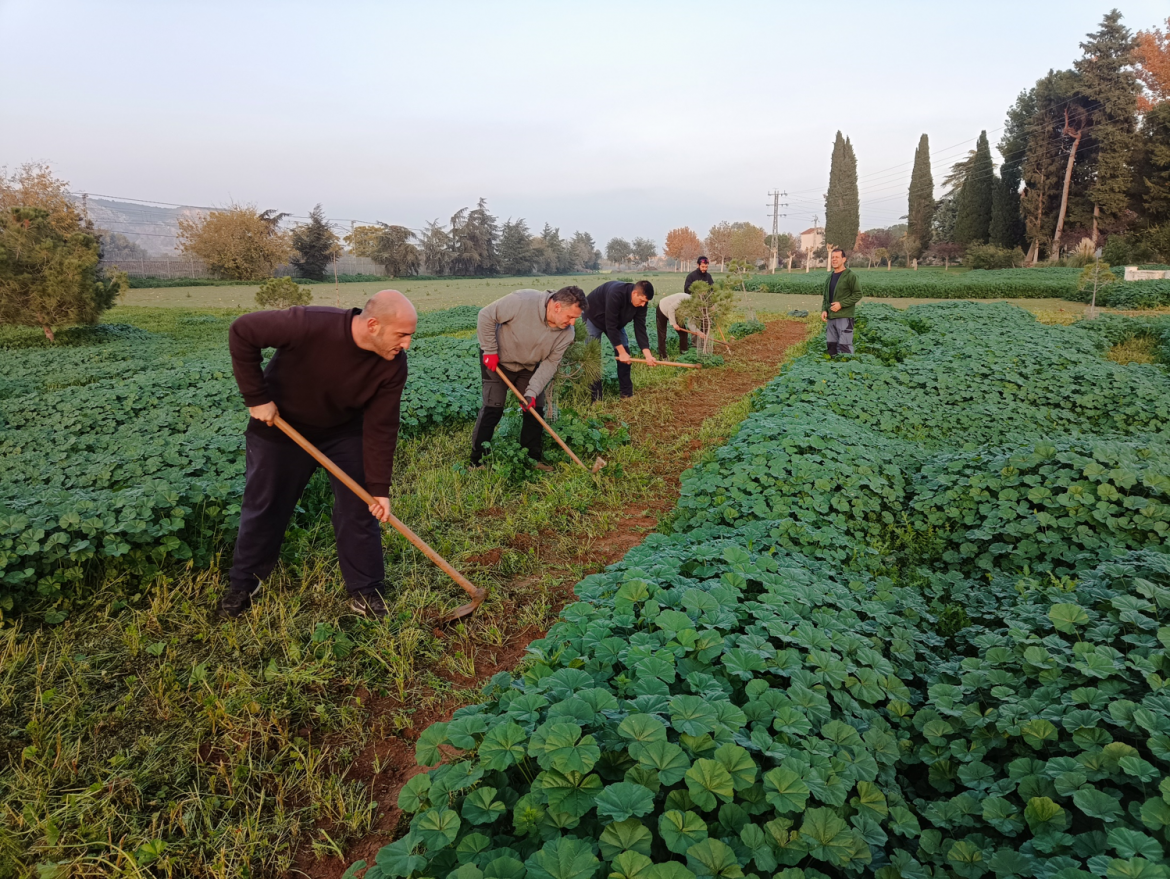 cursos gratuitos sobre el sector agrario