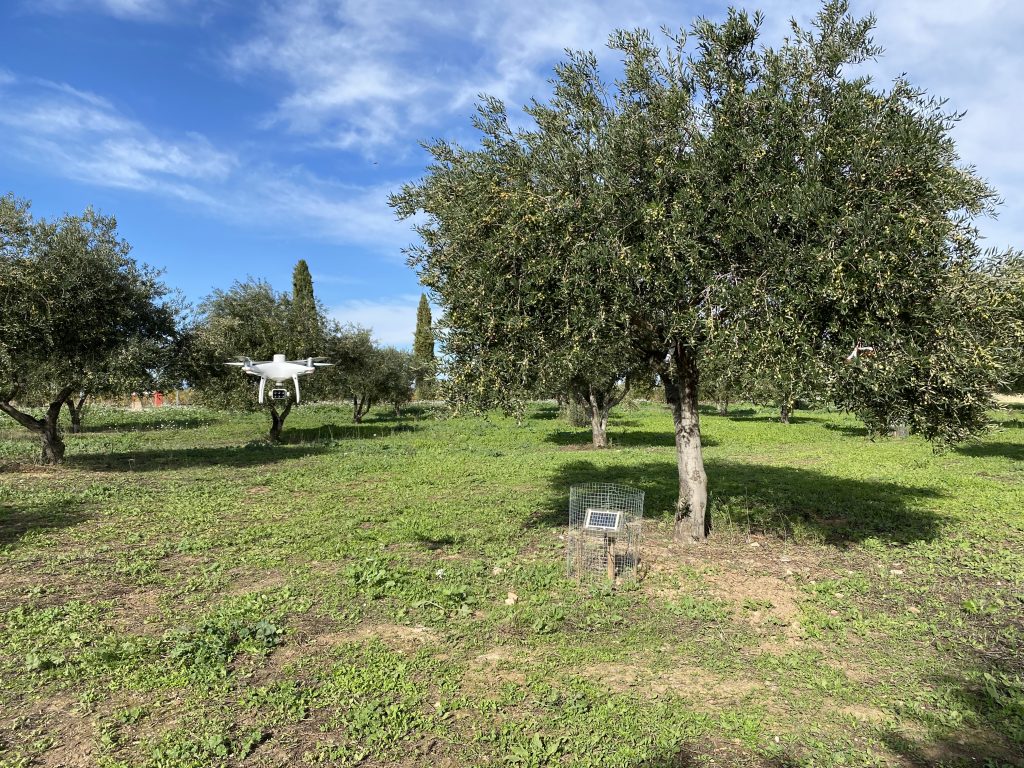 dron para las explotaciones agrarias de Madrid