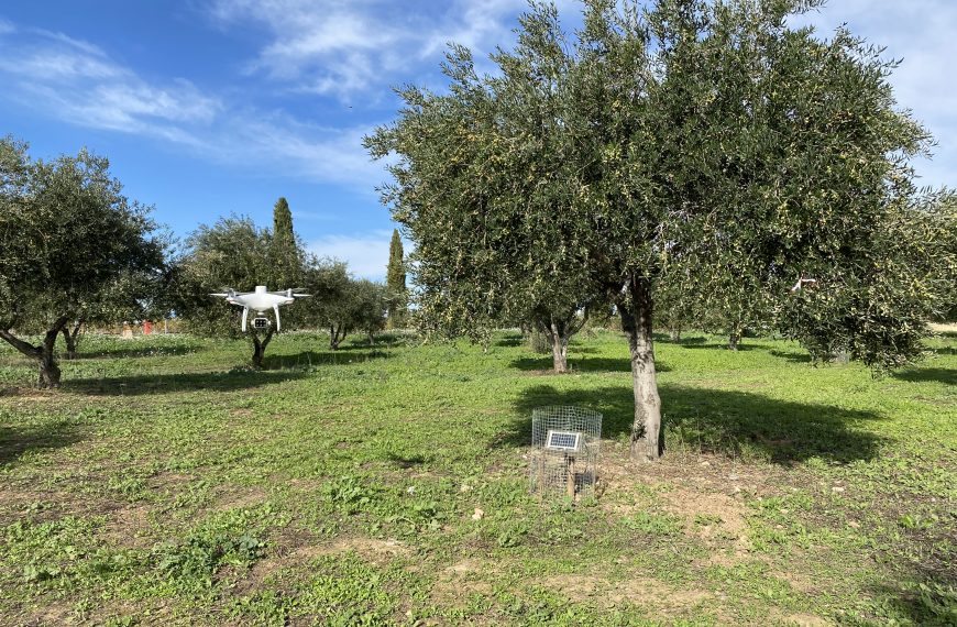 dron para las explotaciones agrarias de Madrid