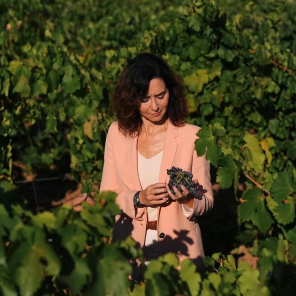 Vino de Madrid institucional