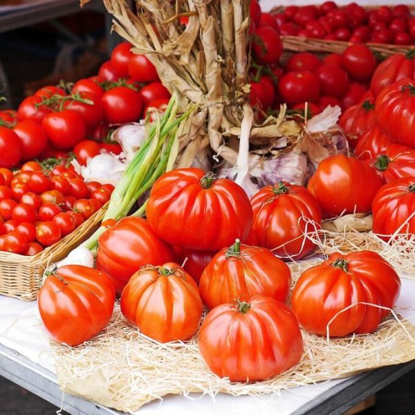tomate español