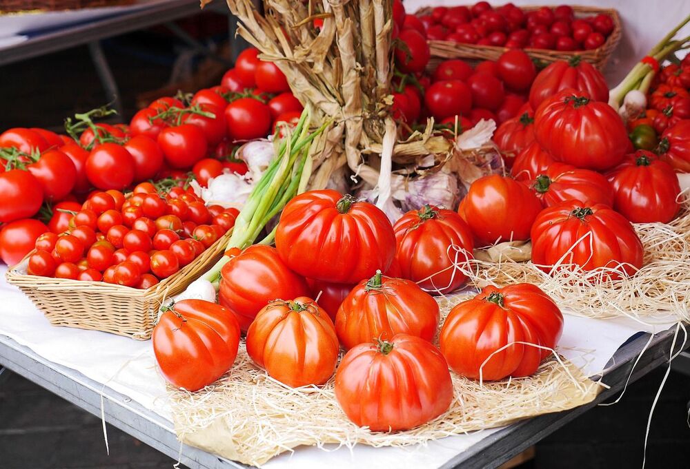 tomate español