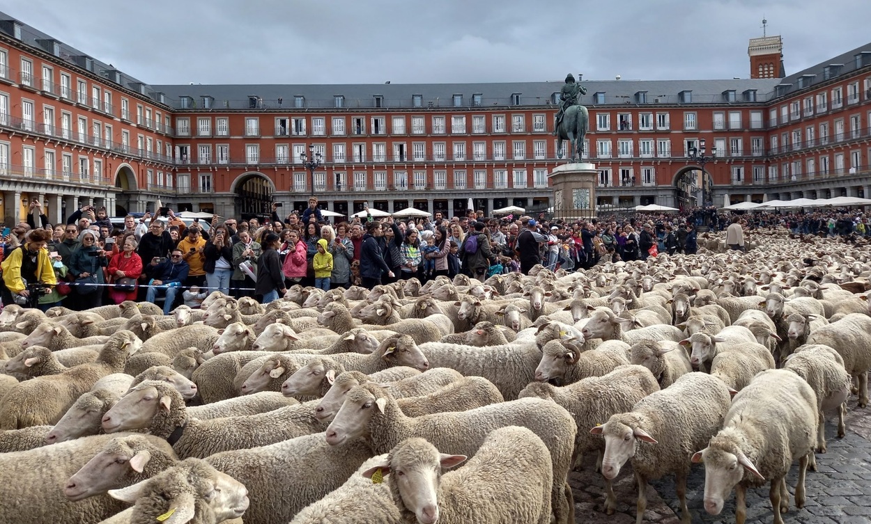 trashumancia en Madrid