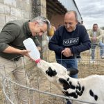 leche de Madrid