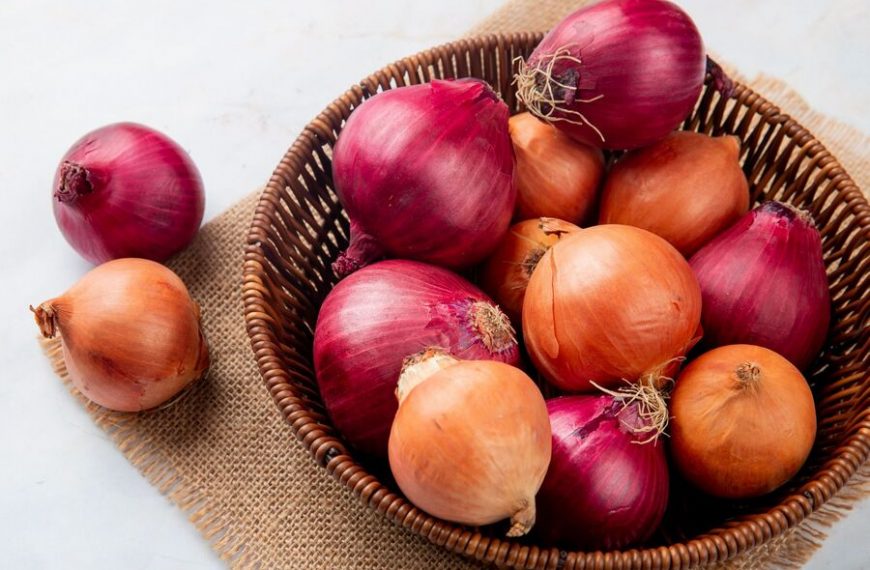 cebolla de Madrid