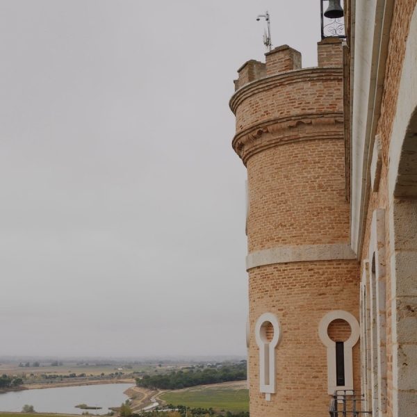 mejores vinos de Toro