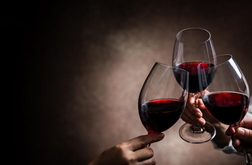 concurso y cata de vinos