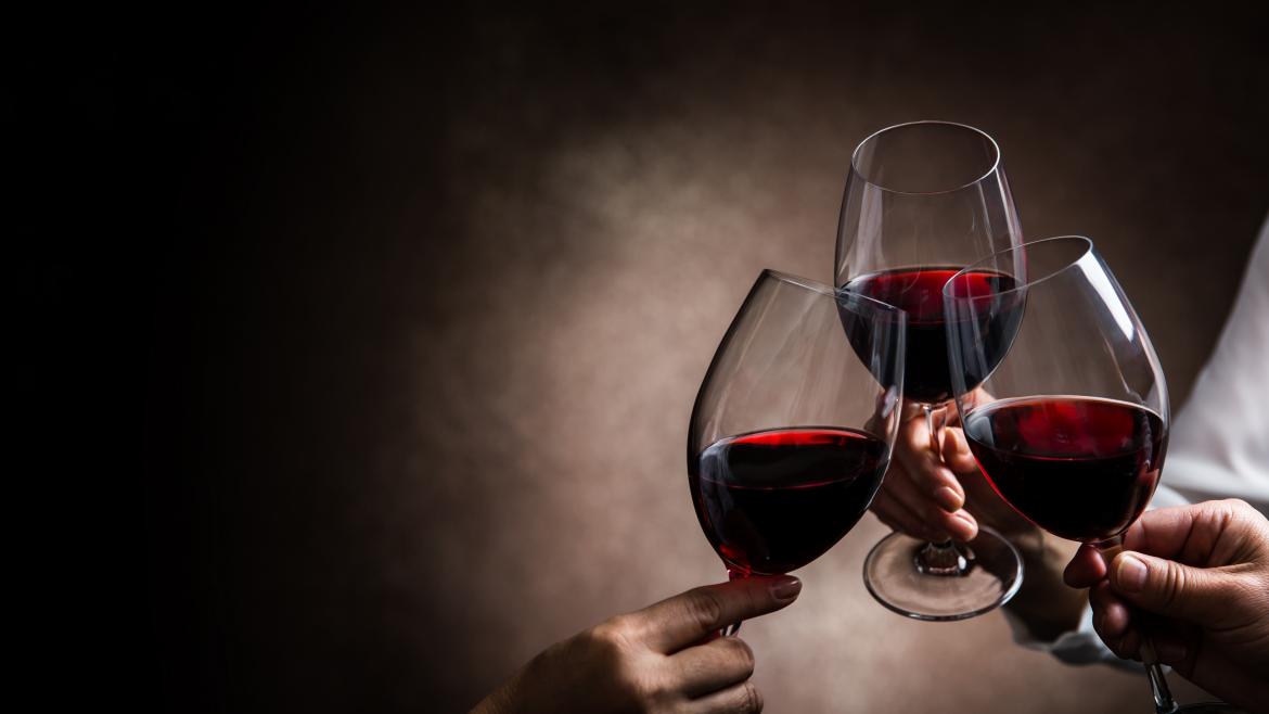 concurso y cata de vinos