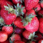 tren de la fresa en 2026