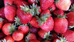 El Tren de la Fresa en 2026: Revisores vestidos de época los sábados y domingos