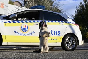 Futuros Héroes llega al C.C. Santo Domingo con la policía y los bomberos