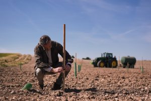 El nuevo campo madrileño: así se impulsa el futuro rural en Madrid