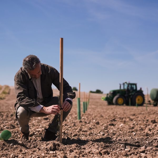 El nuevo campo madrileño: así se impulsa el futuro rural en Madrid