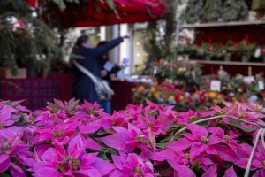 El Mercado de las Flores cumple 10 años siendo el escaparate de la primavera