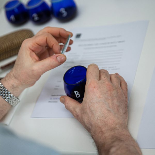 La Comunidad de Madrid convoca el primer Concurso de Catadores de Aceite