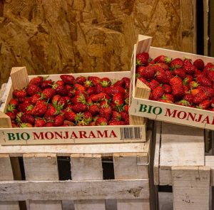 Recoger fresas en el campo: uno de los planes para niños en Madrid del verano