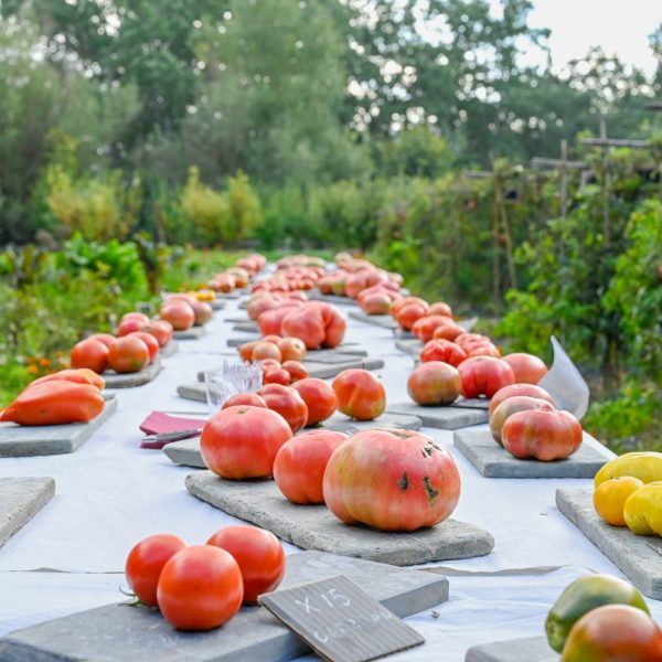 Las frutas y hortalizas que están de temporada en julio