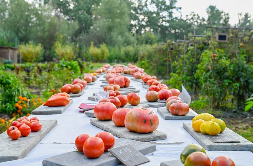 Las frutas y hortalizas que están de temporada en julio