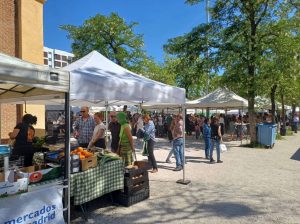 El Mercado de Productores se despide con cuatro ediciones en junio