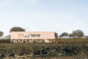Un vino de edición limitada se convierte en el vino oficial de Concéntrico 2026