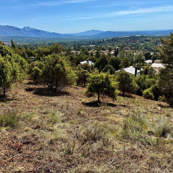 Collado Mediano estrenará su I Feria de Campo y Caza el 27 de junio