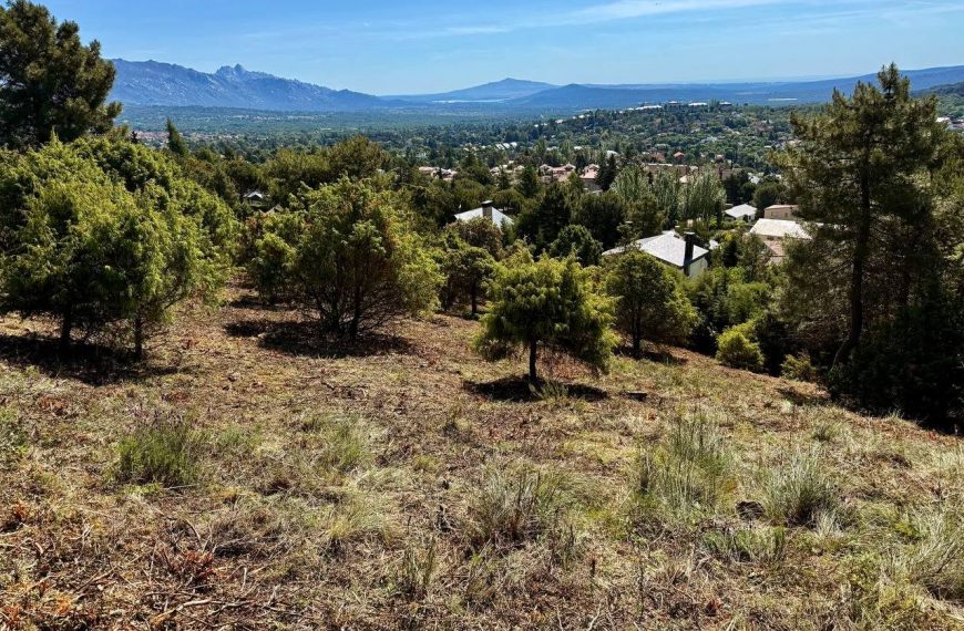 Collado Mediano estrenará su I Feria de Campo y Caza el 27 de junio