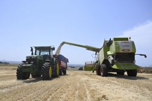 Madrid inicia la cosecha del cereal con buenas sensaciones en el campo