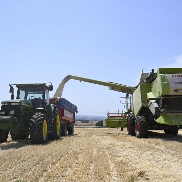 Madrid inicia la cosecha del cereal con buenas sensaciones en el campo