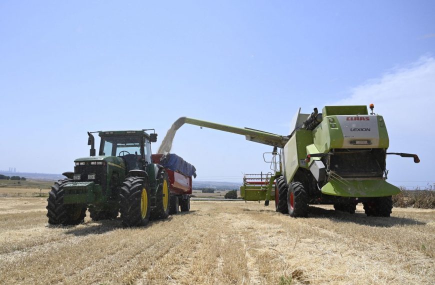 Madrid inicia la cosecha del cereal con buenas sensaciones en el campo