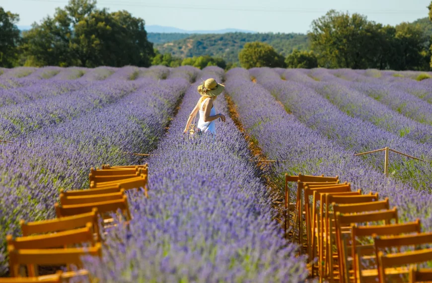 El Festival de la Lavanda 2026 celebra su décima edición
