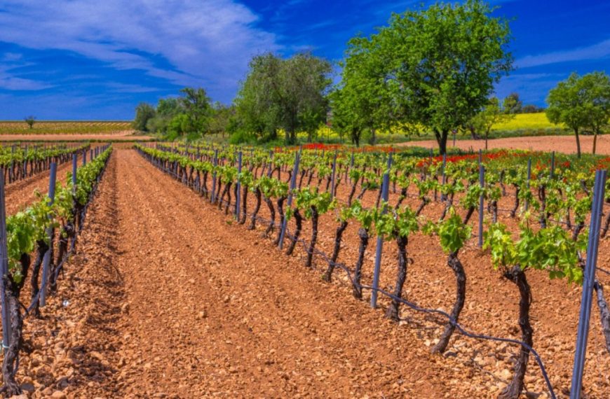 El Tren del Vino de Renfe vuelve a Valdepeñas el 27 de junio